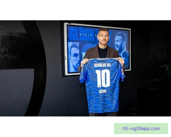 罗马诺确认沙尔克签39岁哲科